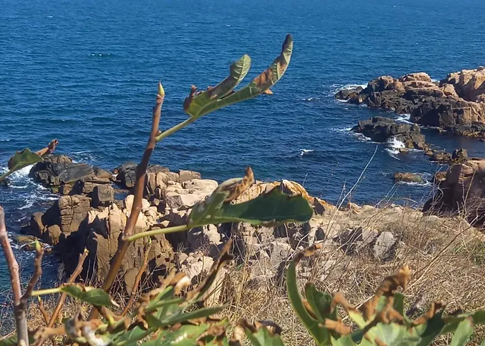 Βίλα флора Τσερνομόρετς